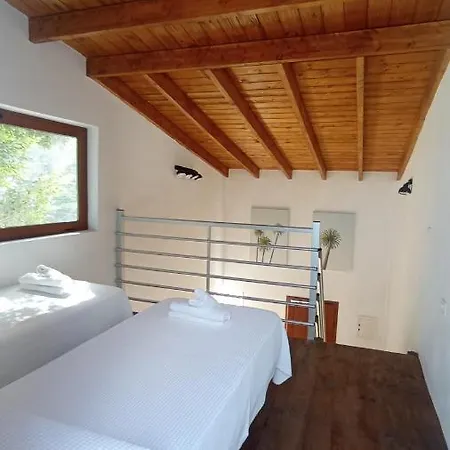 Casa Del Arbol De Bibiana 1 * Hermigua
